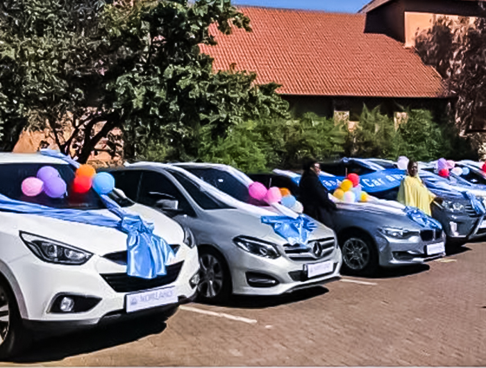 Vitality Supplements