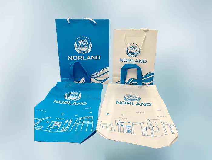 Nroland Paper Bag